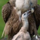 5c8a59ba2400004205a2f9bd