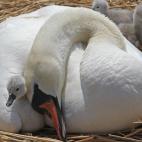 5c8a59ba2400004205a2f9bf