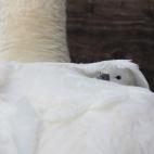 5c8a59ba2500000d04c8f05f