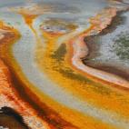 5c8b1ff6200000450470346e