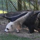 5c8a59bb360000a61b6b5f21