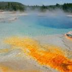 5c8b1ff624000093024ce961