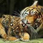 5c8a59bc2400000a05a2f9c7