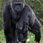 5c8a59bc250000bd05810a52