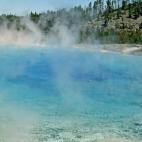 5c8b1ff72300007f01242b83