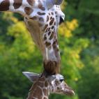 5c8a59bc260000e804fe3e3a