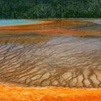 5c8b1ff83b000072066d07e3