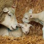 5c8a59bd260000e104fe3e3d