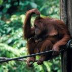 5c8a59bd20000043046f0d77