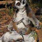 5c8a59be2500000a06810a54