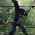 5c8a59be250000bd05810a5a