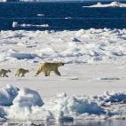 5c8a59bf3b000072066be093