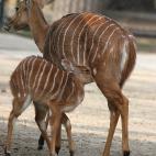 5c8a59c12400000a05a2f9d3