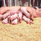 5c8a59c12500001304c8f074