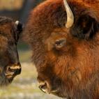 5c8a59c2250000e203c8f077