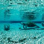 5c8a59c224000093024bc0d2