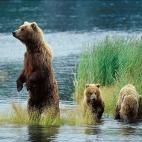 5c8a59c32400006b054bc0d5