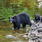 5c8a59c3230000d50422ff78