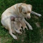 5c8a59c424000093024bc0d9