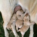 5c8a59c42500005806810a68