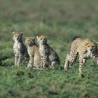 5c8a59c4360000ba1a6b5f37