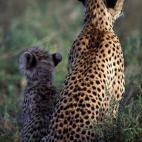 5c8a59c5360000c81a6b5f39