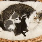 5c8a59c5250000bd05810a6c