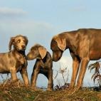 5c8a59c53b000070066be0a1