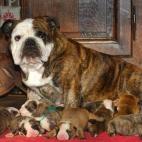 5c8a59c6240000f404a2f9df