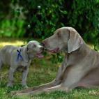 5c8a59c62500000d04c8f08b