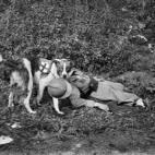 Perro médico arrastrando a un soldado francés herido en 1914. (Photo by ND/Roger Viollet/Getty Images)
