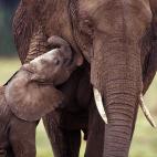 5c8a59c73b000072066be0a5