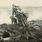 Soldados enviando un mensaje con un perro mensajero. (British War Dogs: Their Training and Psychology; Skeffington & Son, Ltd, London)