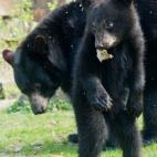 5c8a59c72400006b054bc0df