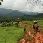 Como los del Parque Nacional de Khao Sok (provincia de Surat Thani), llamado así porque su montaña dibuja la silueta de un gigante dormido. Después de un agradable paseo en canoa por el río, en el que se observan todos los verdes posibles de...