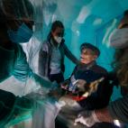 6019062b2800005d00975122