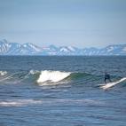 Al surfear en un lugar salvaje como éste es normal poder encontrarse con animales: focas o ballenas.