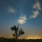 5c8a93932400006d054c0575