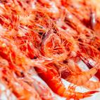 Marisco crudo: 1-2 días