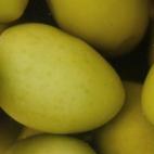 5c8a84272300003000e6a8d3