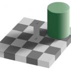 Sí, de verdad lo son. Aquí tienes la prueba. Se debe a un fenómeno llamado constancia del color.