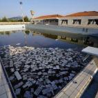 5c8a9cf63b000054066c3473