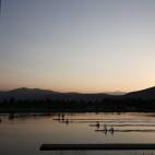 5c8a9cf920000043046f622a