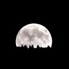 5c8b6aef3b000070066d8934