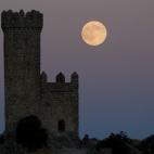 5c8b6af02300005400e824db