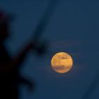 5c8b6af122000033001adb0a