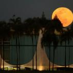 5c8b6af322000051001adb10