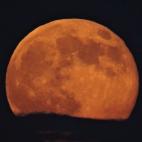 5c8b1217230000dd042409c0