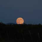 5c8b12172000009d03701342