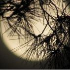 5c8b121a230000dd042409d0